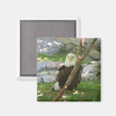 Aimant IMG_6126, upliftingphotography.net Amérique (Recto/Verso)