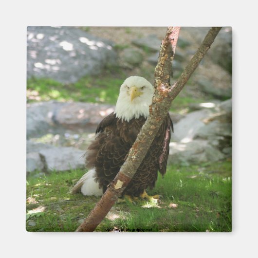 Aimant IMG_6126, upliftingphotography.net Amérique (Devant)