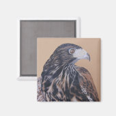 Aimant Immature Harris Hawk (Recto/Verso)