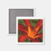 Aimant impact graphique du grand lis rouge (Recto/Verso)