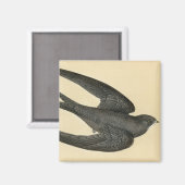 Aimant Impression antique d'un Swift (Recto/Verso)