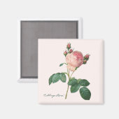 Aimant Impression botanique Rose de chou (Recto/Verso)