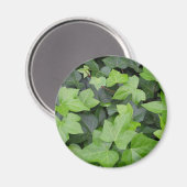 Aimant Impression botanique verte Ivy (Recto/Verso)