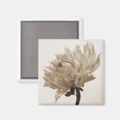 Aimant impression dahlia sepia (Recto/Verso)