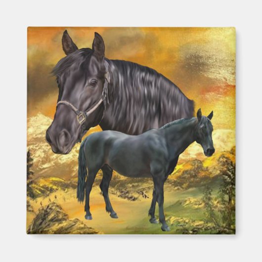 Aimant Impression de cheval andalou (Devant)