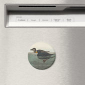 Aimant Impression de Macreuse noire d'Audubon : Canard cô (In Situ (Lave-vaisselle))
