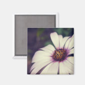 Aimant Impression de marguerite. (Recto/Verso)