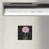 Aimant Impression durable (In Situ (Lave-vaisselle))