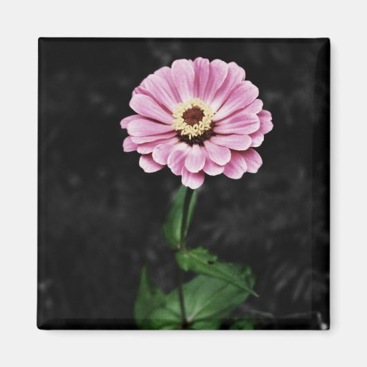 Aimant Impression durable (Devant)