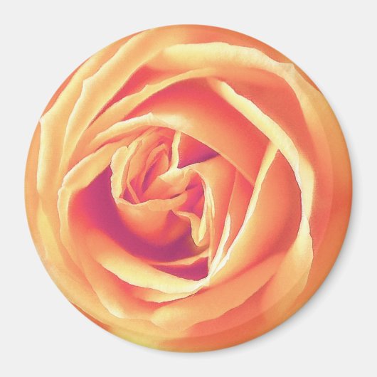 Aimant Impression rose orange doux (Devant)
