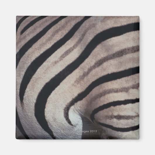 Aimant Impression Zebra (Devant)