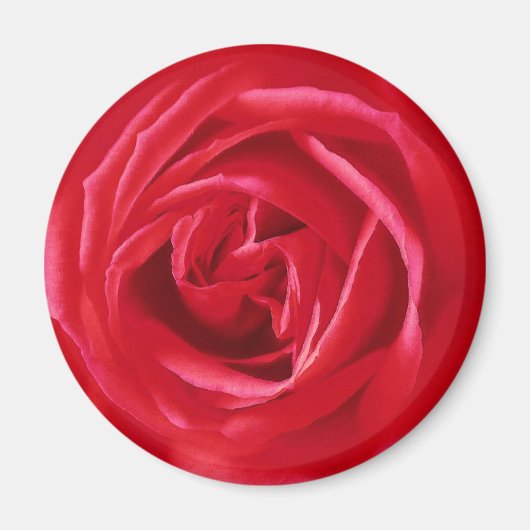 Aimant imprimé rose rouge (Devant)