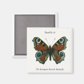Aimant Inachis io - Le papillon paon européen (Recto/Verso)