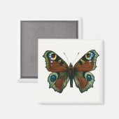 Aimant Inachis io - Le papillon paon européen (Recto/Verso)