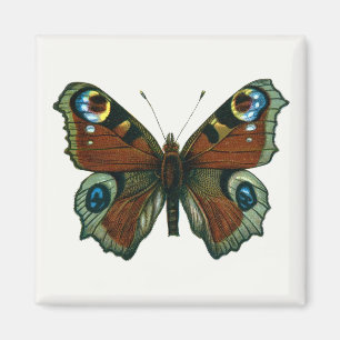 Aimant Inachis io - Le papillon paon européen