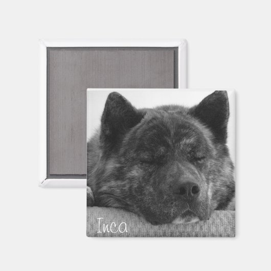 Aimant Inca (Recto/Verso)