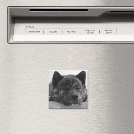 Aimant Inca (In Situ (Lave-vaisselle))