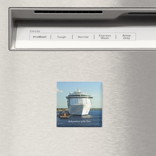 Aimant Indépendance à Cozumel (In Situ (Lave-vaisselle))