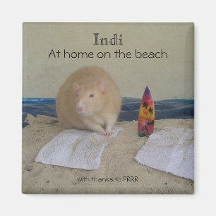 Aimant Indi, à la maison sur la plage, avec tous nos