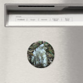 Aimant Indian Pipe Wildflowers Nature  (In Situ (Lave-vaisselle))