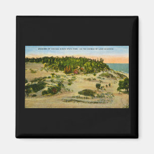 Aimant Indiana Dunes State Park Lake Michigan, Indiana