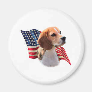 Aimant Indicateur beagle