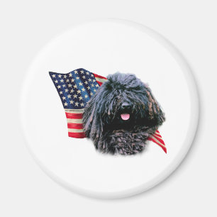 Aimant Indicateur Puli