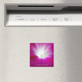 Aimant Infini (brillant) (In Situ (Lave-vaisselle))