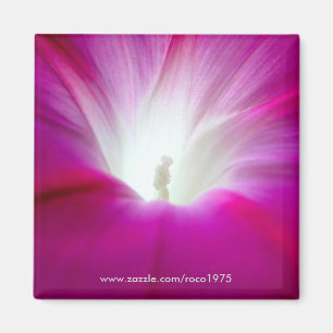 Aimant Infini (plus lumineux)