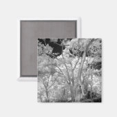 Aimant Infra rouge d'arbres bâtiments et sentiers à Las 2 (Recto/Verso)