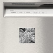 Aimant Infra rouge d'arbres bâtiments et sentiers à Las 2 (In Situ (Lave-vaisselle))