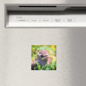 Aimant Innocence d'oiseau bébé Inspirationnel (In Situ (Lave-vaisselle))