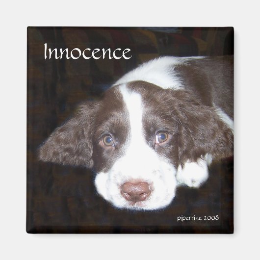 Aimant Innocence - L'amour chiot (Devant)