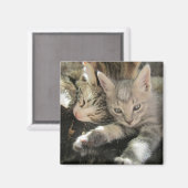 Aimant Inoki Kitten (Recto/Verso)