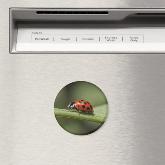 Aimant Insecte de Ladybug (In Situ (Lave-vaisselle))