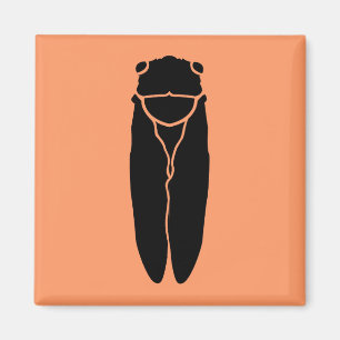 Aimant Insecte noir de cigale