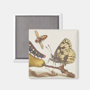 Aimant Insectes de jardin, mouche, chenille, poire, mille