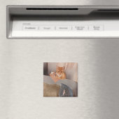 Aimant Inspecteur de la ligne (In Situ (Lave-vaisselle))