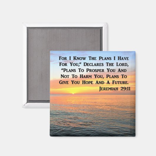 AIMANT INSPIRANT JEREMIAH 29:11 SCELER (Recto/Verso)