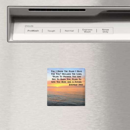 AIMANT INSPIRANT JEREMIAH 29:11 SCELER (In Situ (Lave-vaisselle))