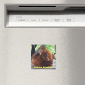 Aimant Inspiration des bébés : Les câlins sont importants (In Situ (Lave-vaisselle))