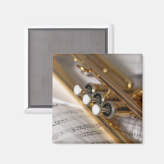 Aimant Instrument en laiton de trompette et de feuille de (Recto/Verso)