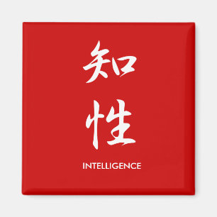 Aimant Intelligence - Chisei