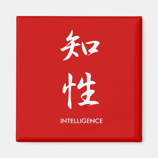 Aimant Intelligence - Chisei (Devant)