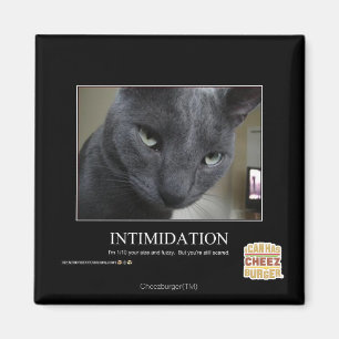 Aimant Intimidation