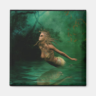 Aimant Into the Mystik