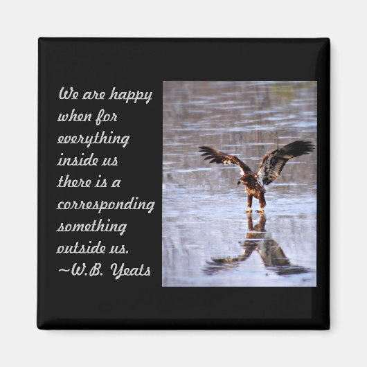 Aimant Introduction (Devant)