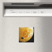 Aimant Io de la lune de Jupiter (In Situ (Lave-vaisselle))