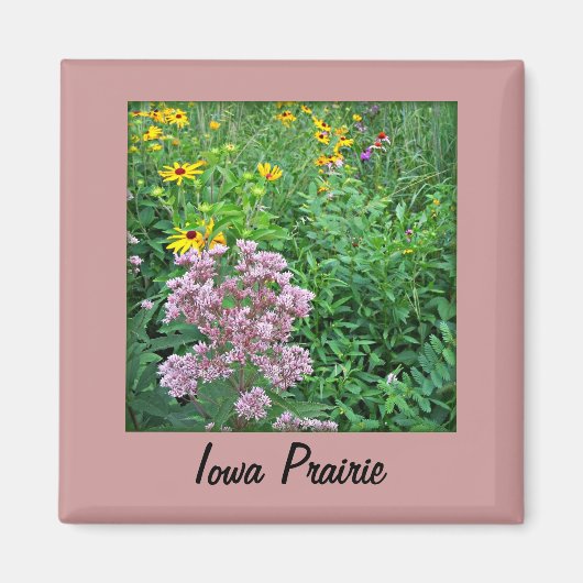 Aimant Iowa Prairie (Devant)