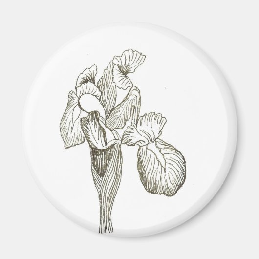 Aimant Iris (Devant)